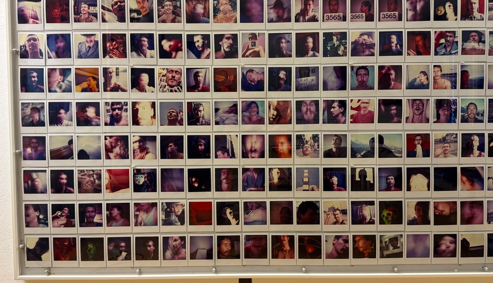 Polaroid