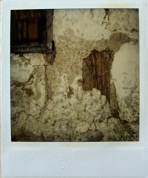 Polaroid