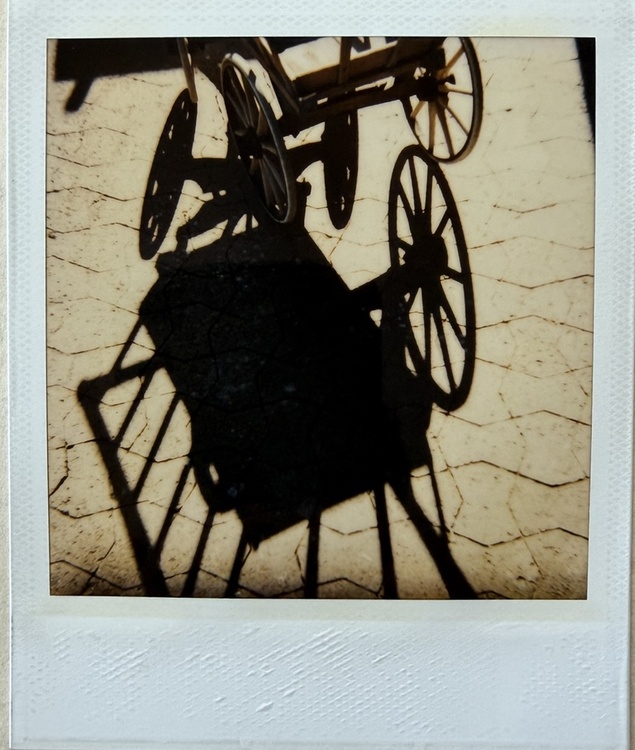 Polaroid