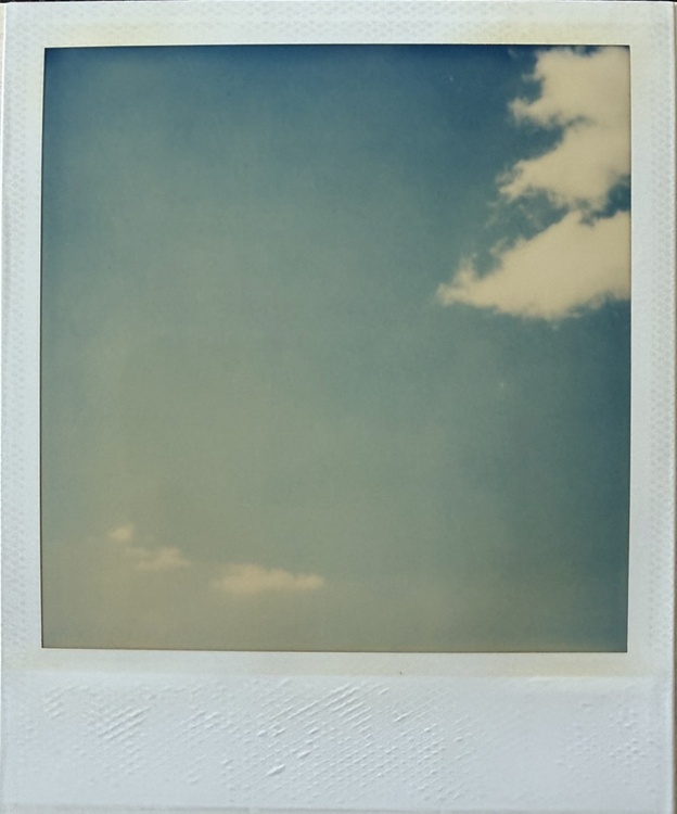 Polaroid