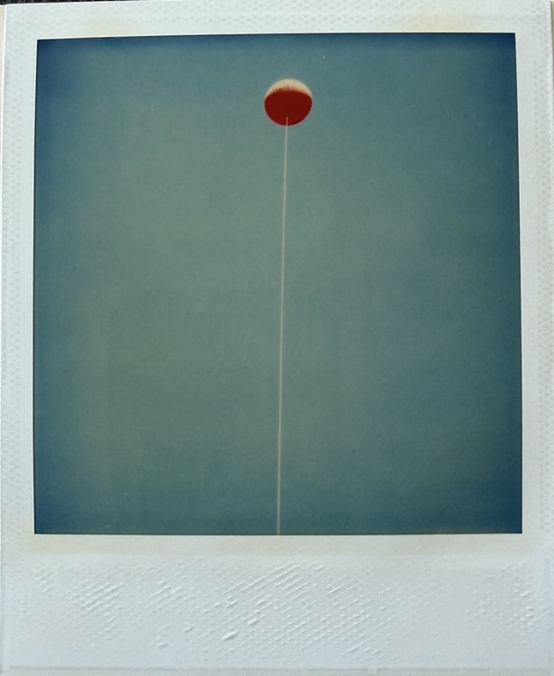 Polaroid