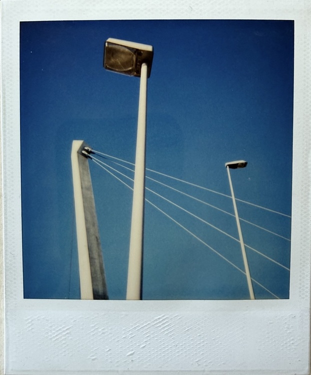 Polaroid