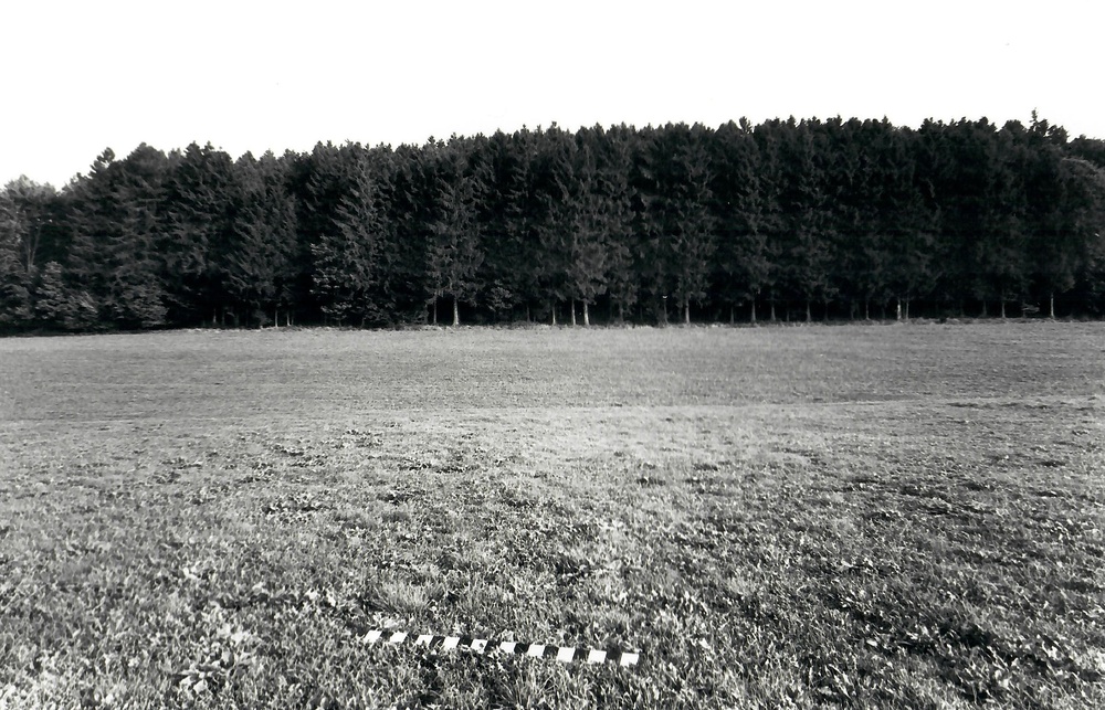 schwarz-weiss