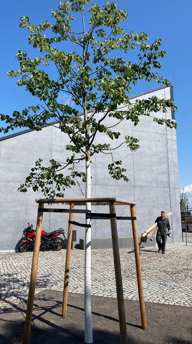 Architektur