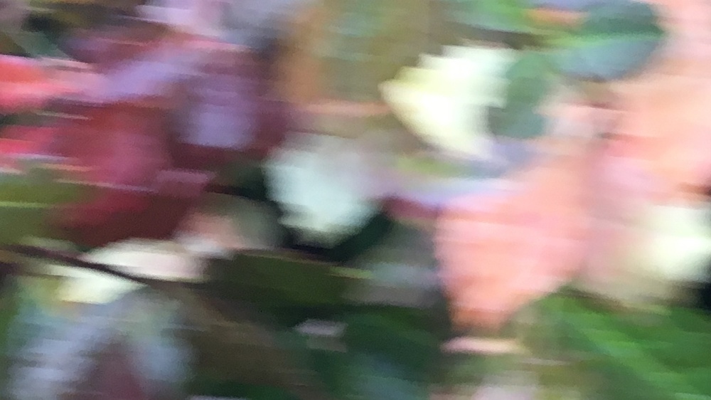 Foto Malerei