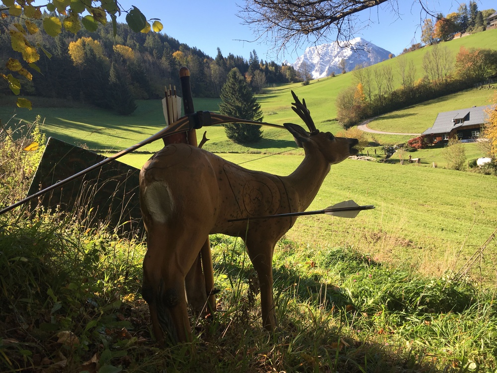 3D Bogenschiessen
