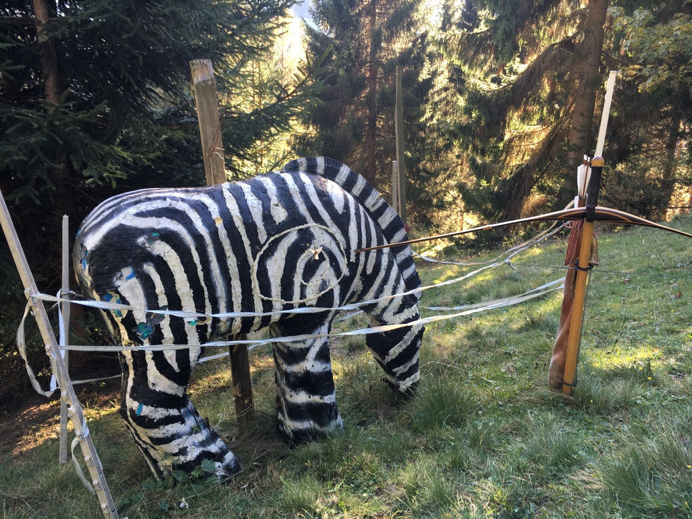 3D Bogenschiessen