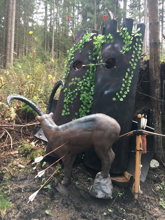 3D Bogenschiessen