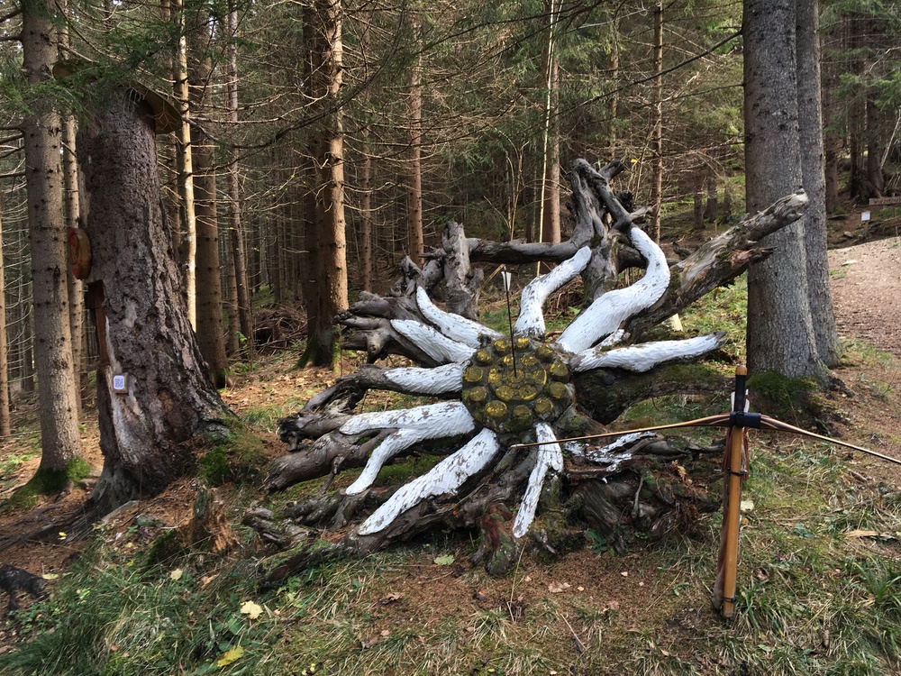 3D Bogenschiessen