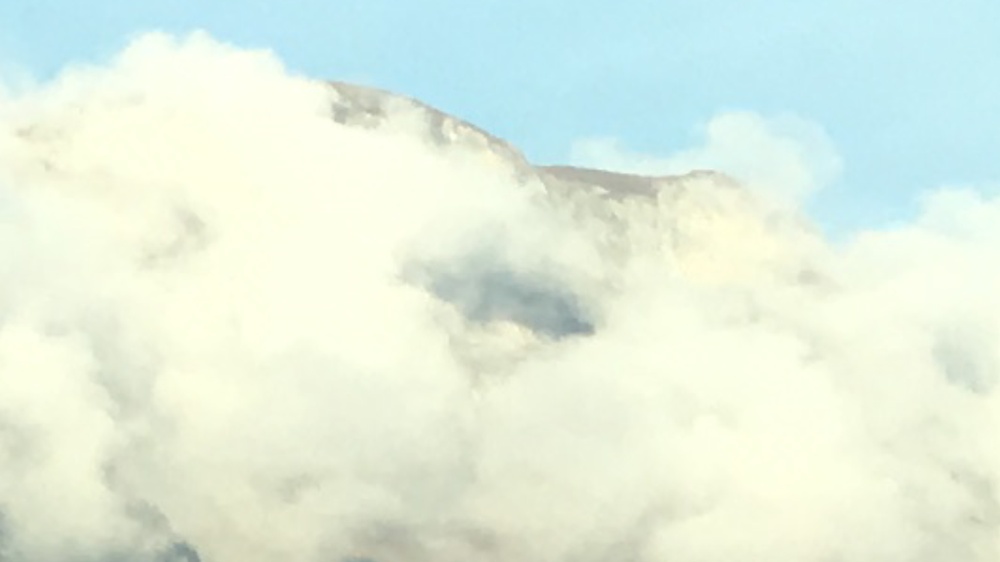 Foto Malerei